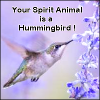 hummingbird